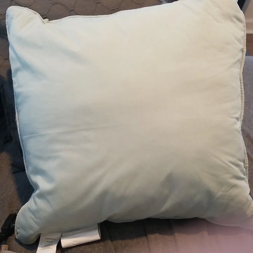 Pale Green Pleated/Pintuck Pearled Accent Pillow